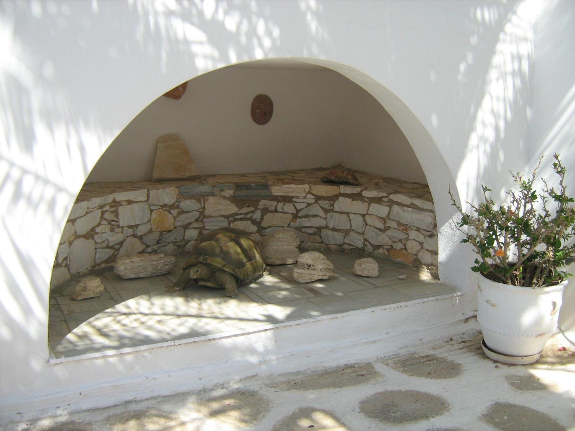 Nicos Studios & Apartments Logaras Bagian luar foto