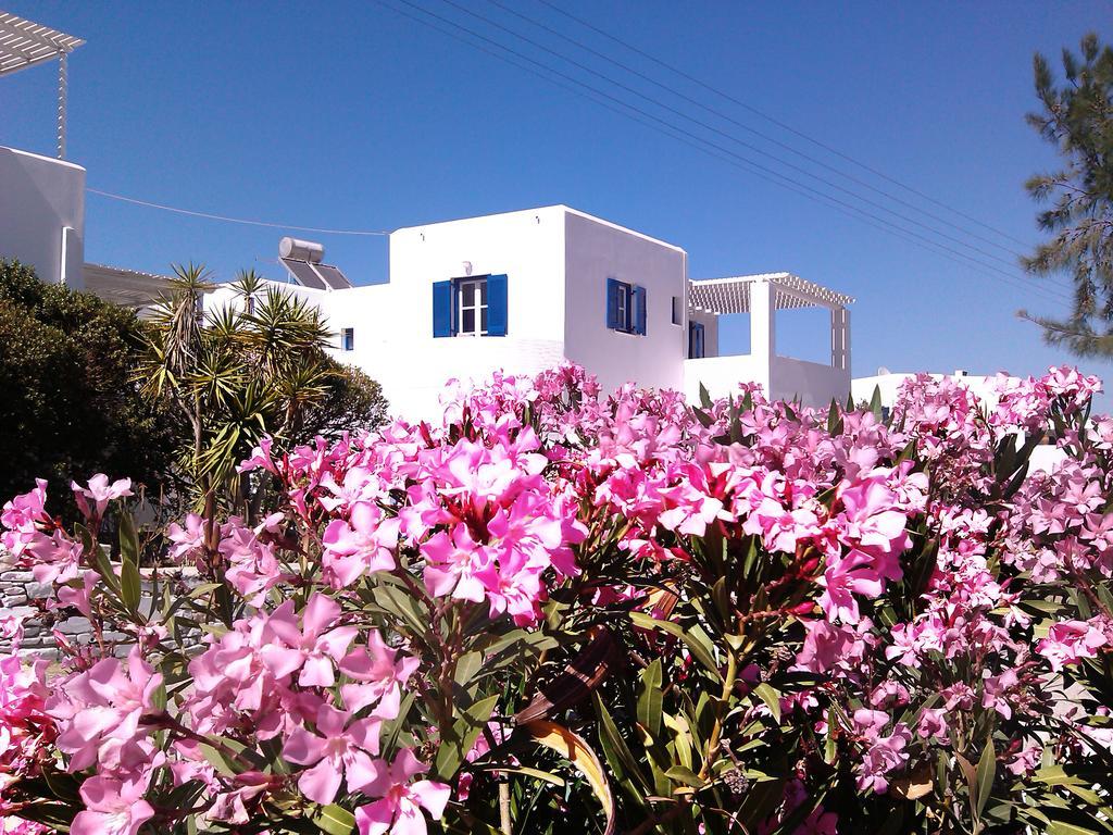 Nicos Studios & Apartments Logaras Bagian luar foto