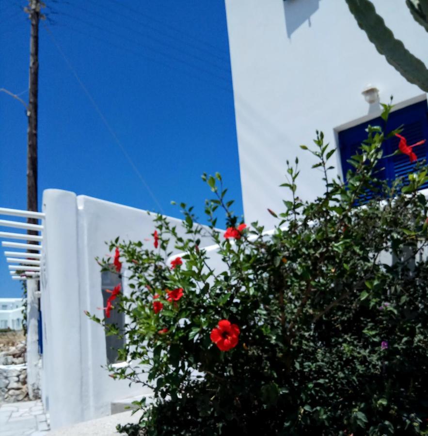 Nicos Studios & Apartments Logaras Bagian luar foto